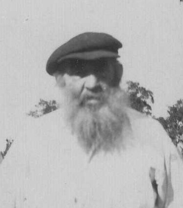 Henry Butt 8783 (Photo: Rutth mcWilliams)