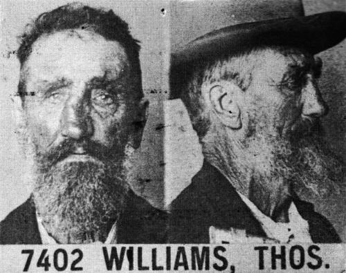 Thomas Williams 8161 (Photo: SROWA Cons 4173/8)